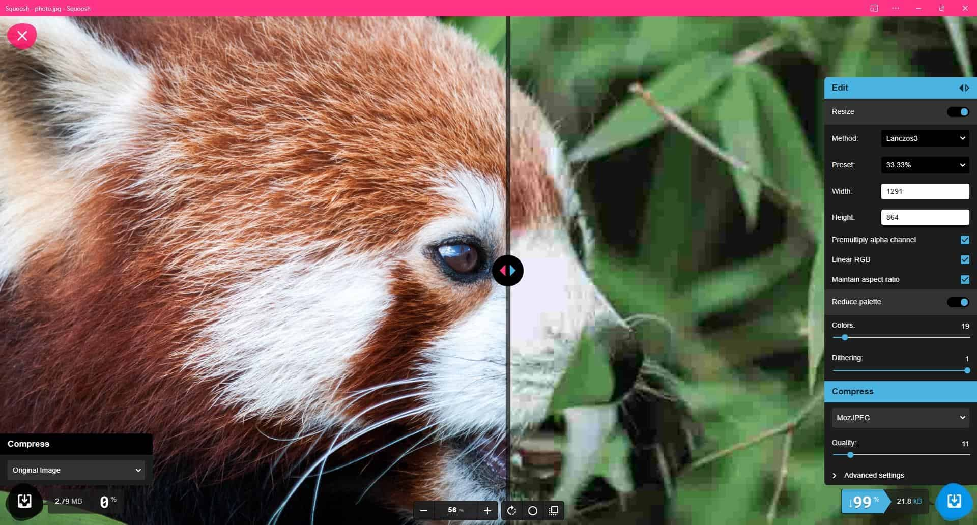 The squoosh interface with a test image of an animal, a slider and various settings